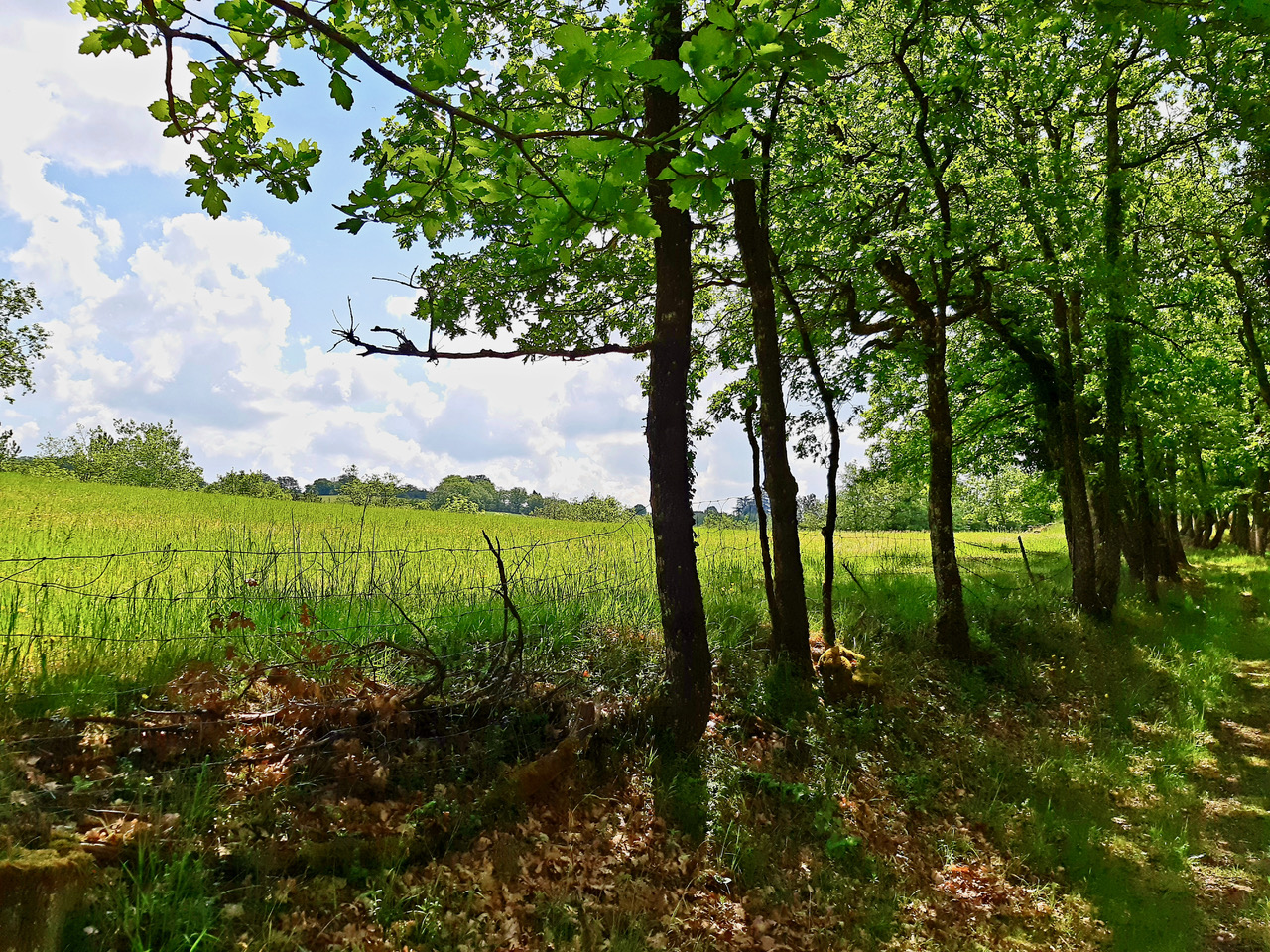 Walking through the P&eacute;rigord